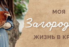 Photo of — Загородная жизнь для детей