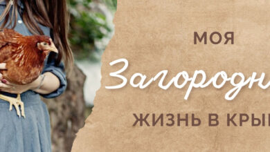 Photo of — Загородная жизнь для детей